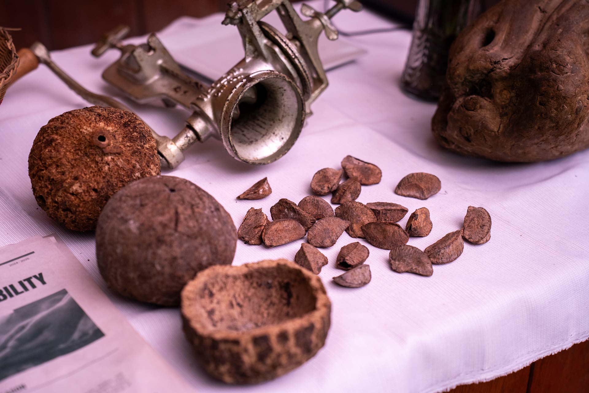 Tesoros del Bosque & Cacao
