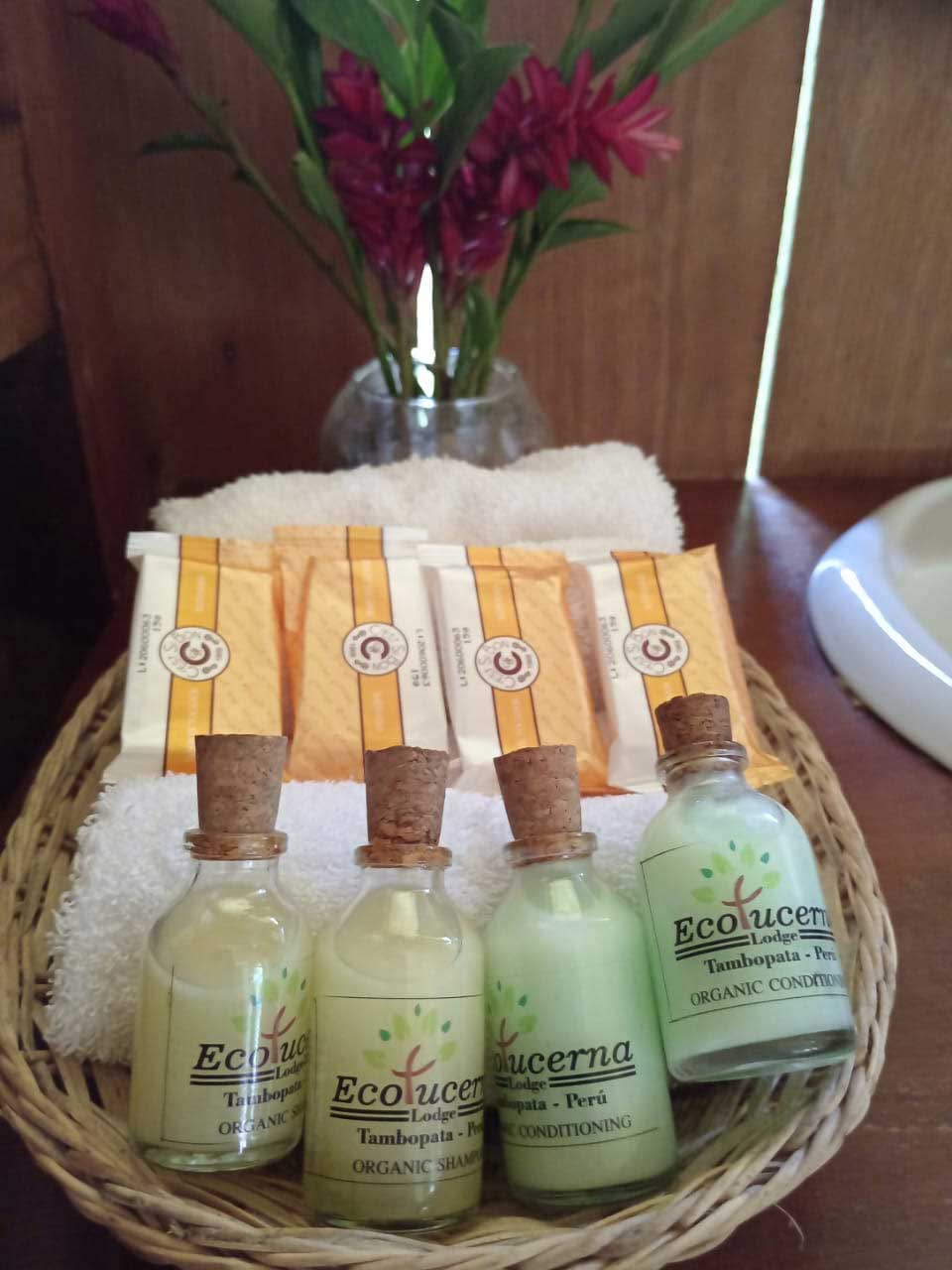 amenities-a-ecolucernalodge